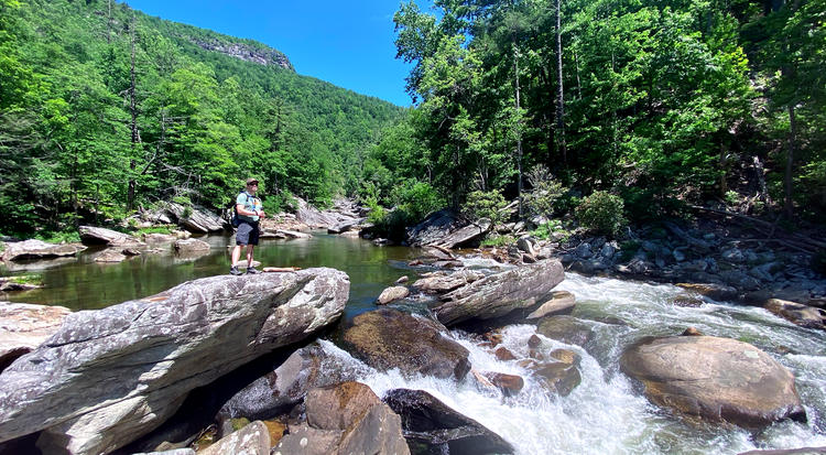 Conley Cove Trail