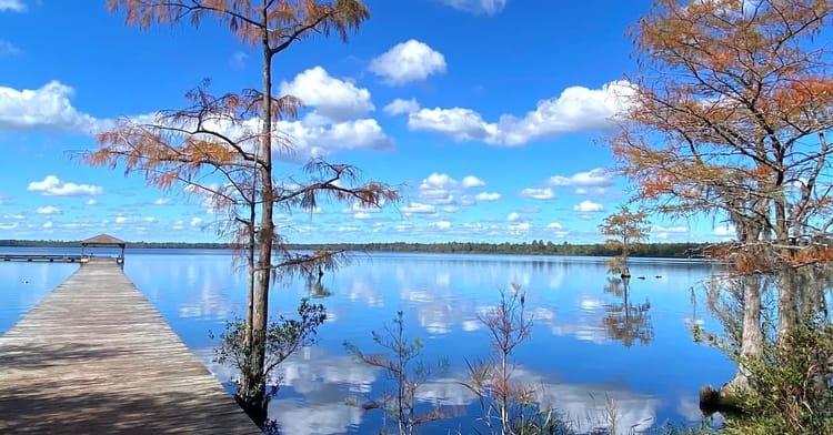 Carolina Bay Lakes