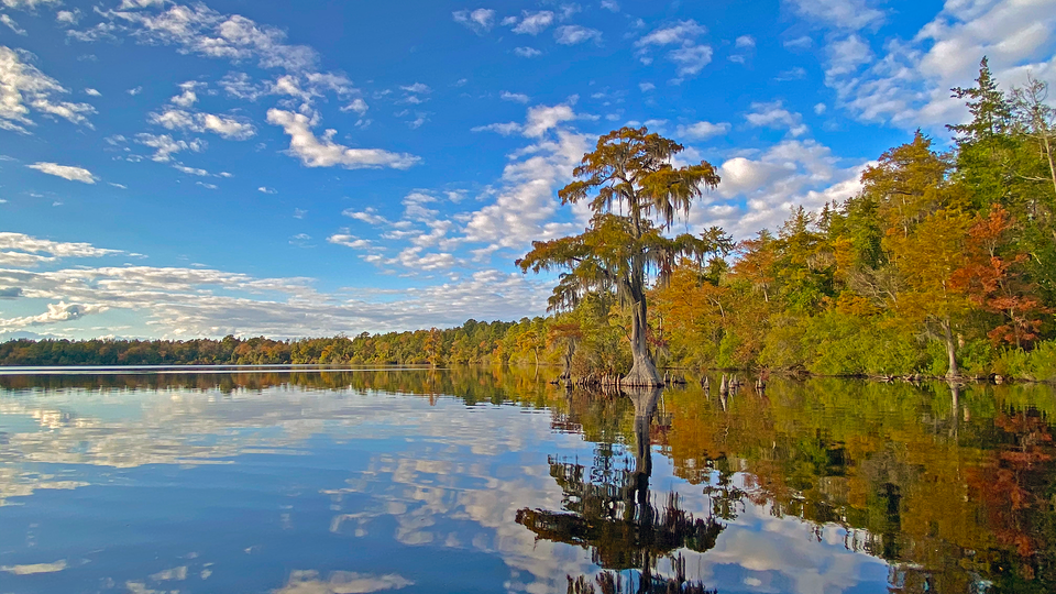 Jones Lake